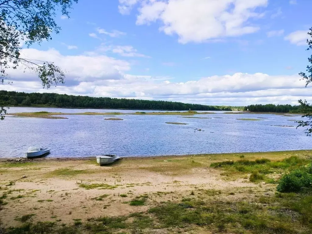 Участок в Ленинградская область, Лодейнопольский район, пос. ... - Фото 1