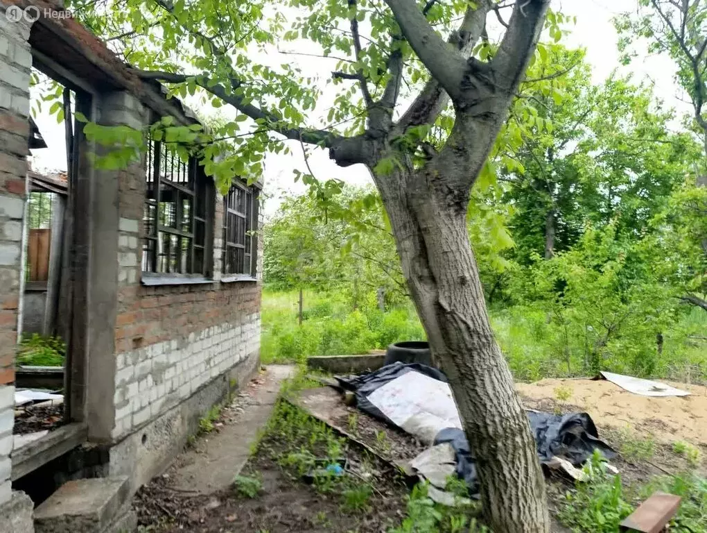 Дом в Воронеж, СНТ Вега-88, 16-я улица (14 м) - Фото 1