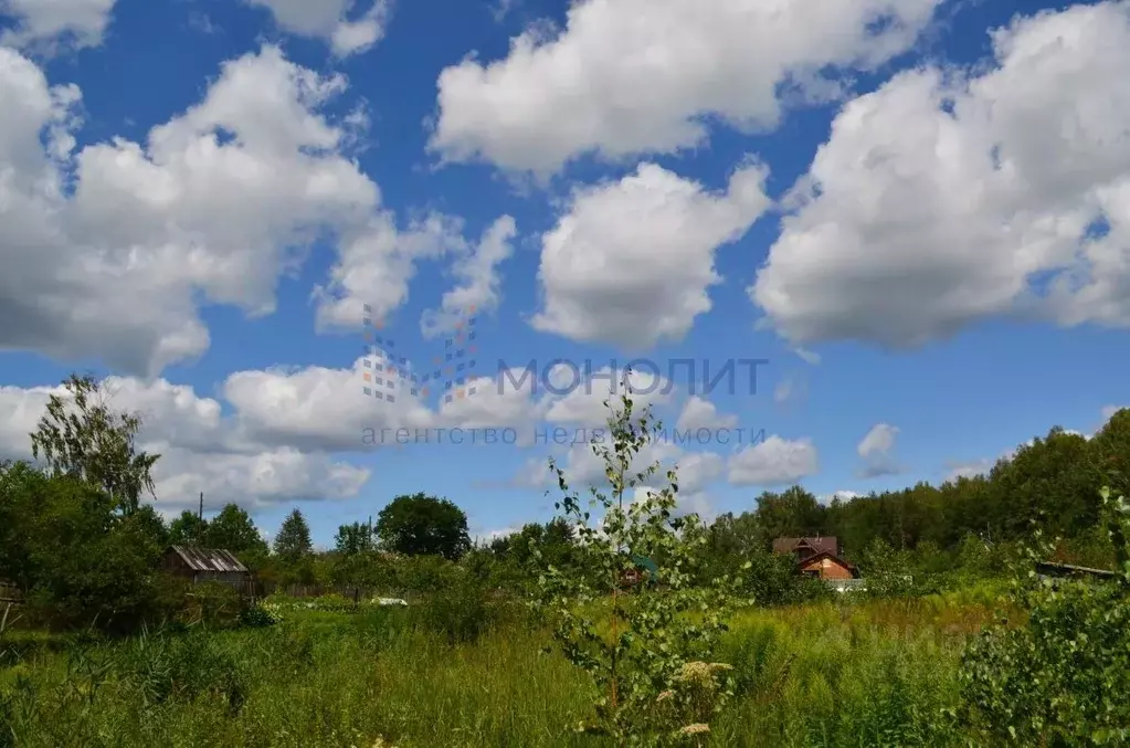 Участок в Нижегородская область, Чкаловск городской округ, д. Яблоново ... - Фото 1