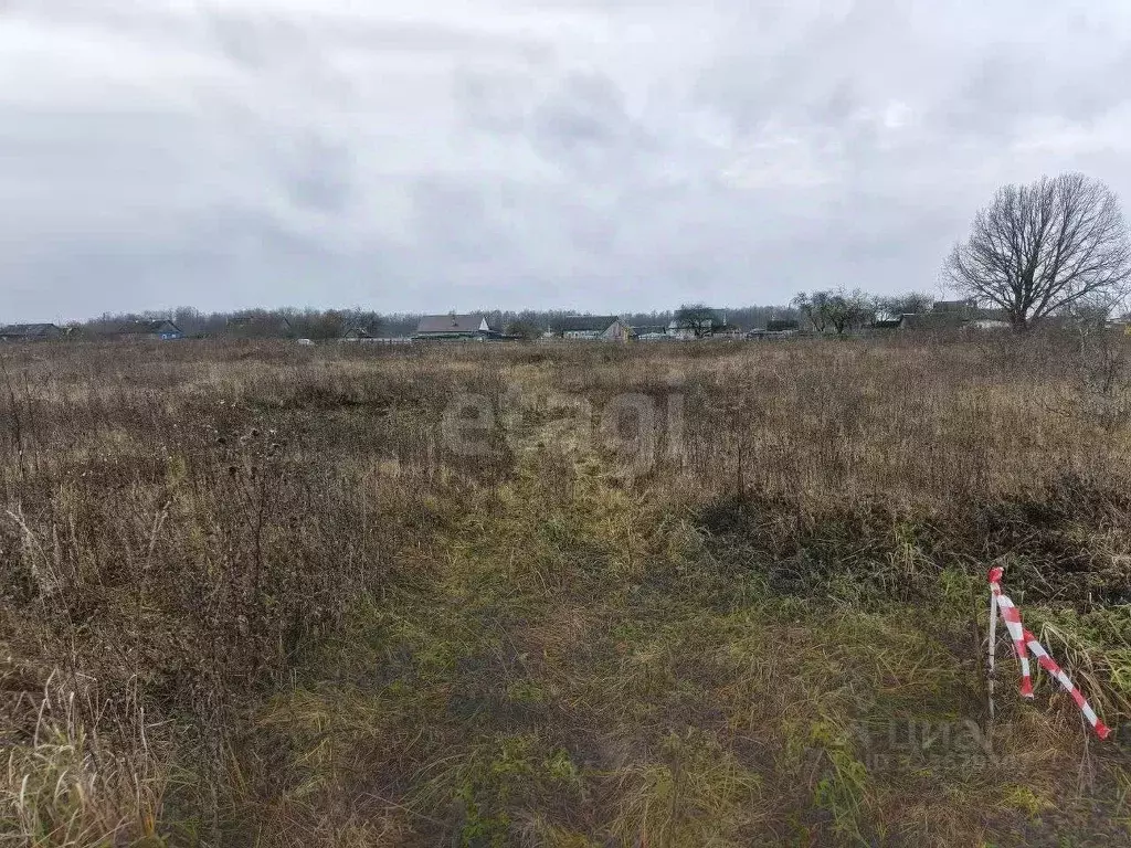 Участок в Брянская область, Брянский район, с. Журиничи  (20.0 сот.) - Фото 1
