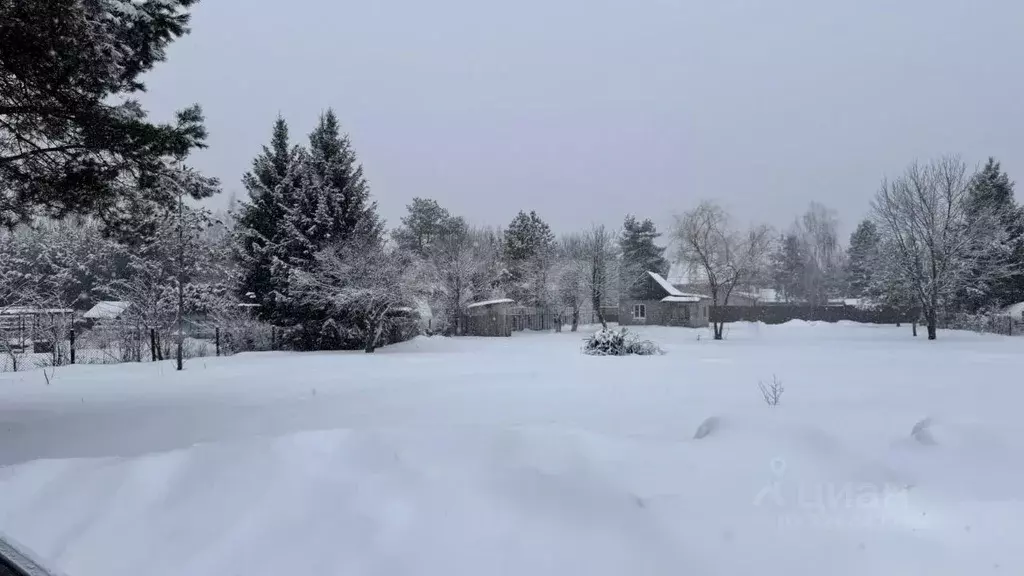 Участок в Воронежская область, Рамонский район, Айдаровское с/пос, ... - Фото 1