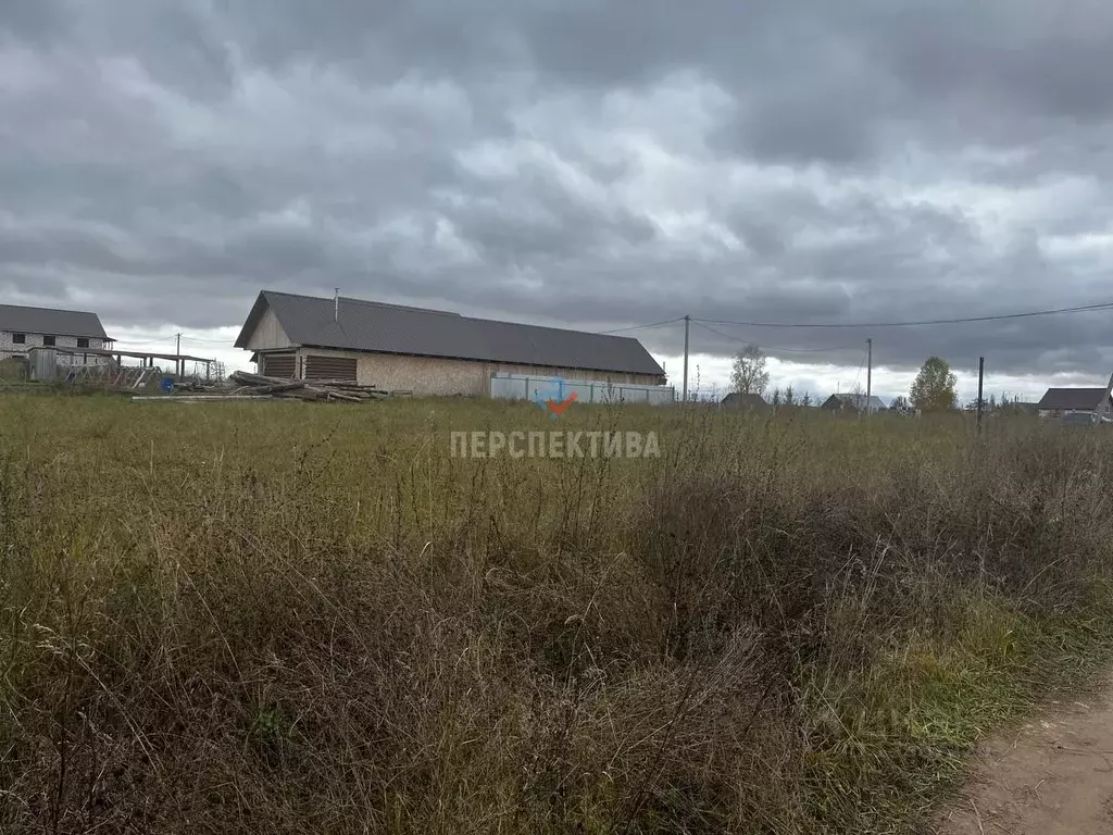 Участок в Удмуртия, Завьяловский район, с. Люк ул. Молодежная, 56 ... - Фото 0