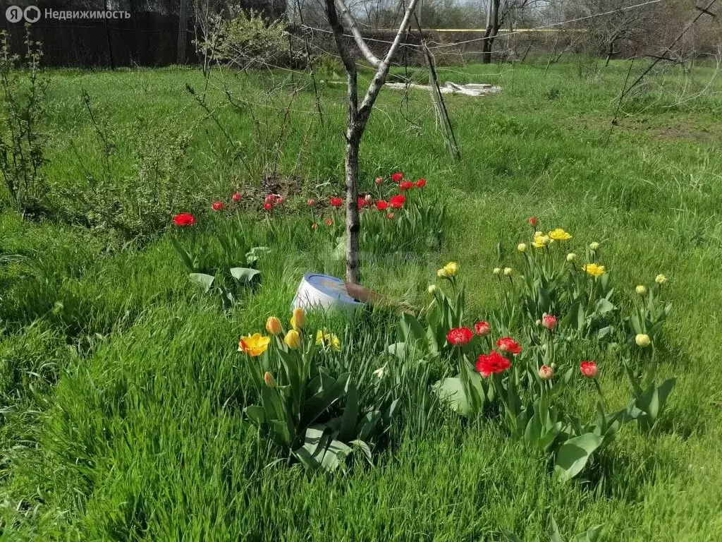 Участок в Таганрог, поселок Вечность, Большая Лиманная улица (12 м) - Фото 2