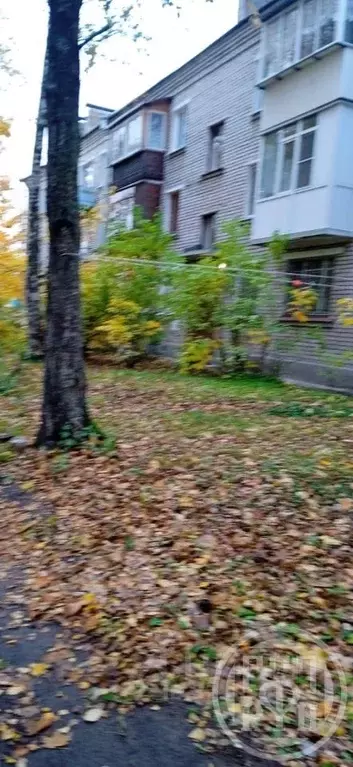 2-к кв. Санкт-Петербург, Санкт-Петербург, Петергоф Озерковая ул., 15 ... - Фото 2