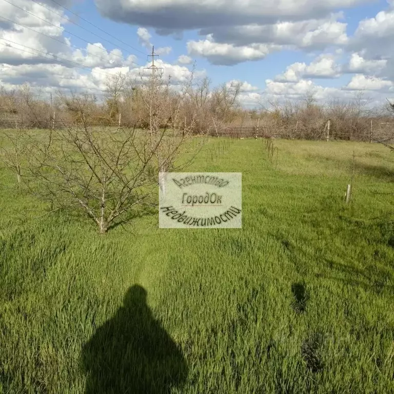 Участок в Крым, Сакский район, с. Орехово  (5.06 сот.) - Фото 2