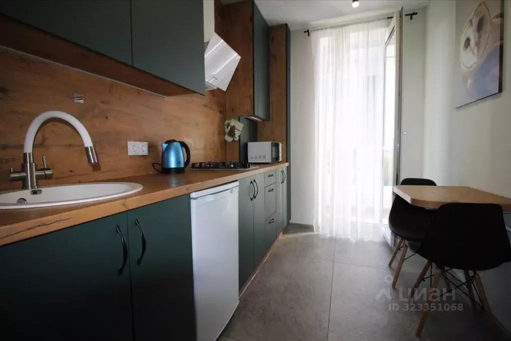 1-к кв. Калининградская область, Пионерский ул. Гептнера, 15 (22.0 м) - Фото 1