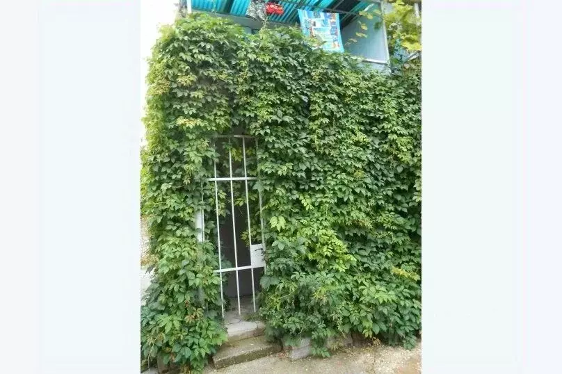 Дом в Крым, Евпатория ул. Пушкина, 63 (25 м) - Фото 1