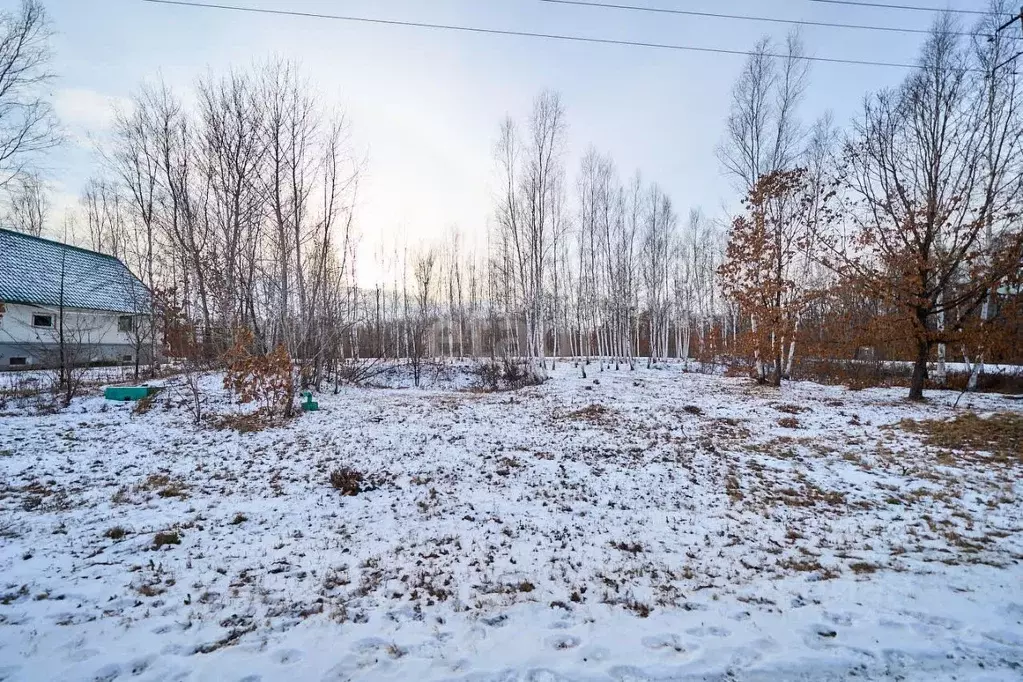Участок в Еврейская автономная область, Биробиджанский район, с. ... - Фото 1