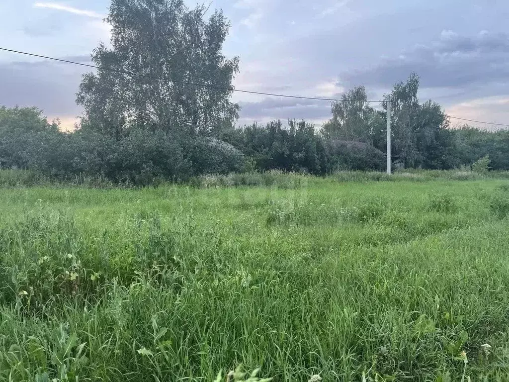 Участок в Воронежская область, Рамонский район, Русскогвоздевское ... - Фото 1