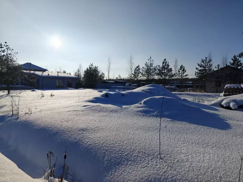 Участок в Ленинградская область, Гатчинский муниципальный округ, Свое ... - Фото 1