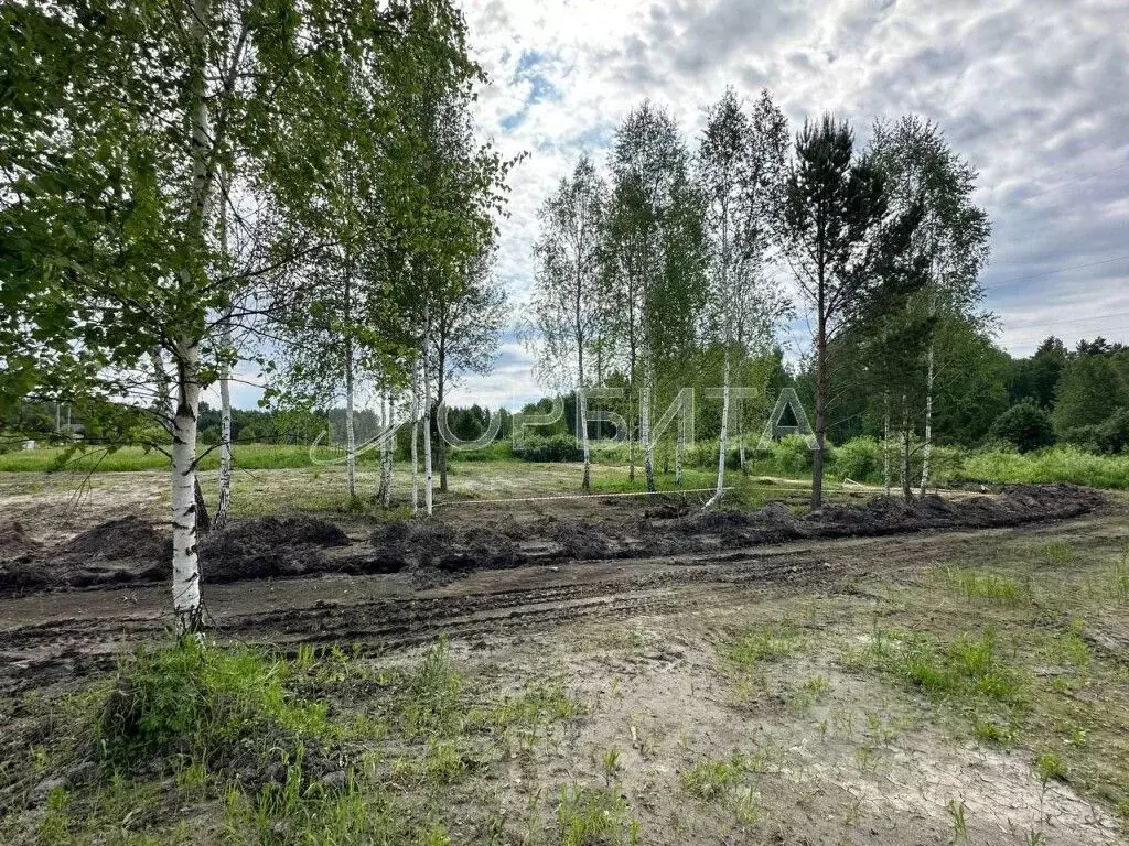 Участок в Тюменская область, Тюменский район, д. Головина Береговая ... - Фото 1