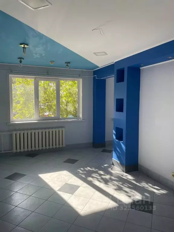 Помещение свободного назначения в Курганская область, Курган ул. Коли ... - Фото 1