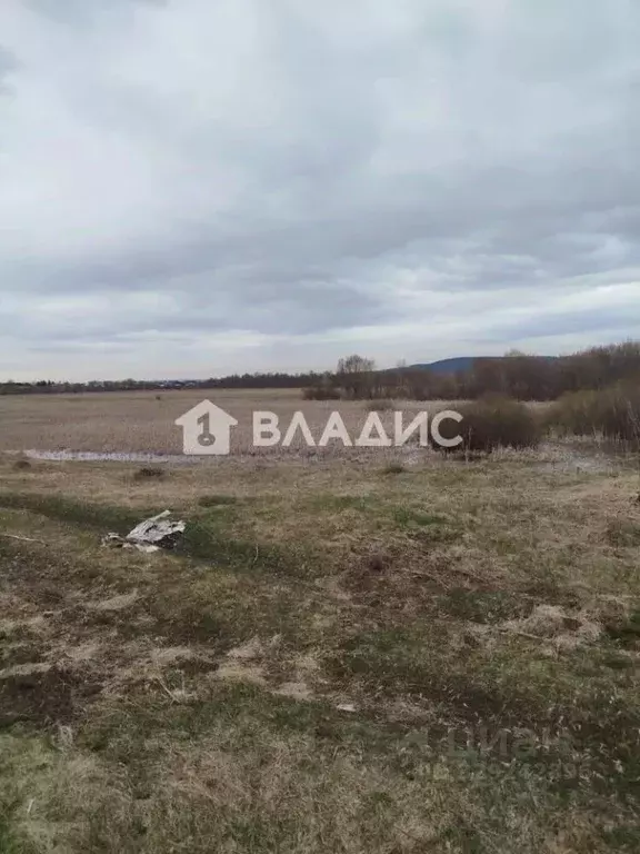 Участок в Татарстан, Нижнекамский район, с. Каенлы ул. Татарстан (15.0 ... - Фото 1