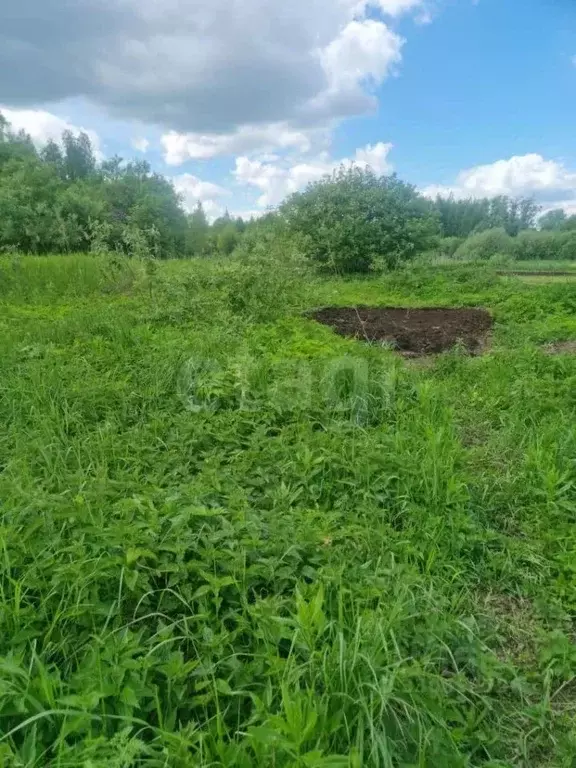 Участок в Ярославская область, Ярославль ул. 7-я Забелицкая (6.0 сот.) - Фото 1