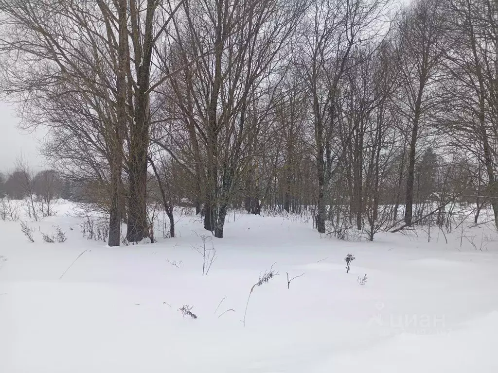 Участок в Московская область, Можайский муниципальный округ, Дома ... - Фото 0