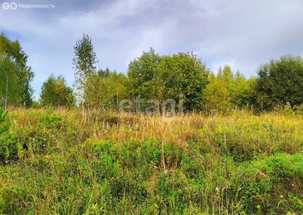 Участок в Томск, посёлок Родионово, Радонежская улица (7.77 м) - Фото 2