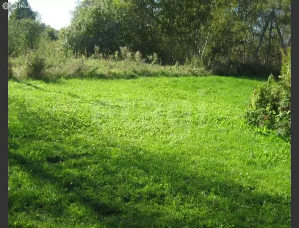 Участок в Ярославский муниципальный округ, деревня Браташино (8.4 м) - Фото 2