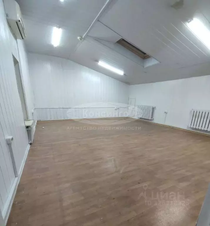 Офис в Пензенская область, Пенза Московская ул., 6 (29 м) - Фото 1