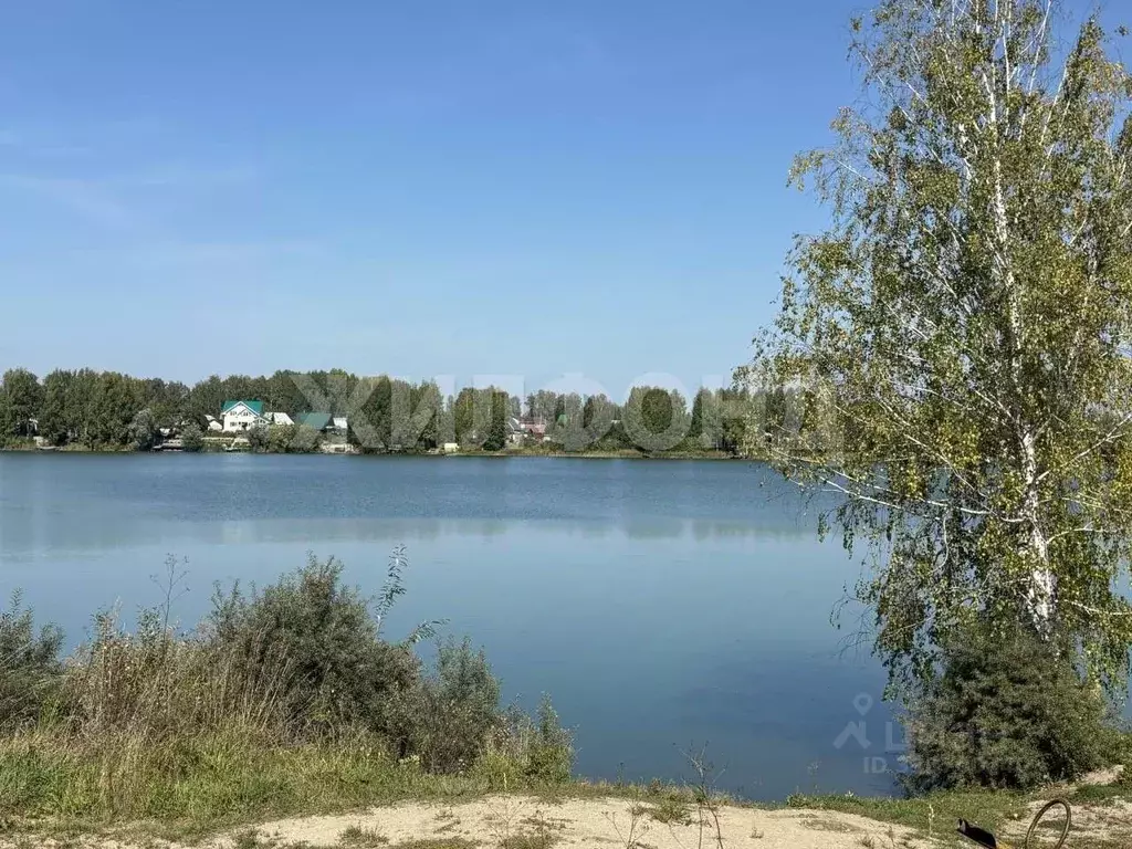 Дом в Новосибирская область, Новосибирский район, с. Криводановка  (50 ... - Фото 2