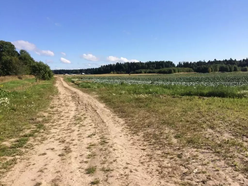 Участок в Ленинградская область, Ломоносовский район, Виллозское ... - Фото 0
