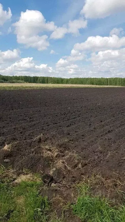Участок в Свердловская область, Богданович муниципальный округ, с. ... - Фото 1