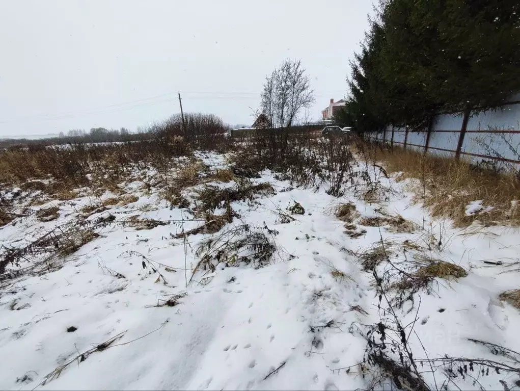 Участок в Московская область, Лотошино муниципальный округ, д. ... - Фото 1