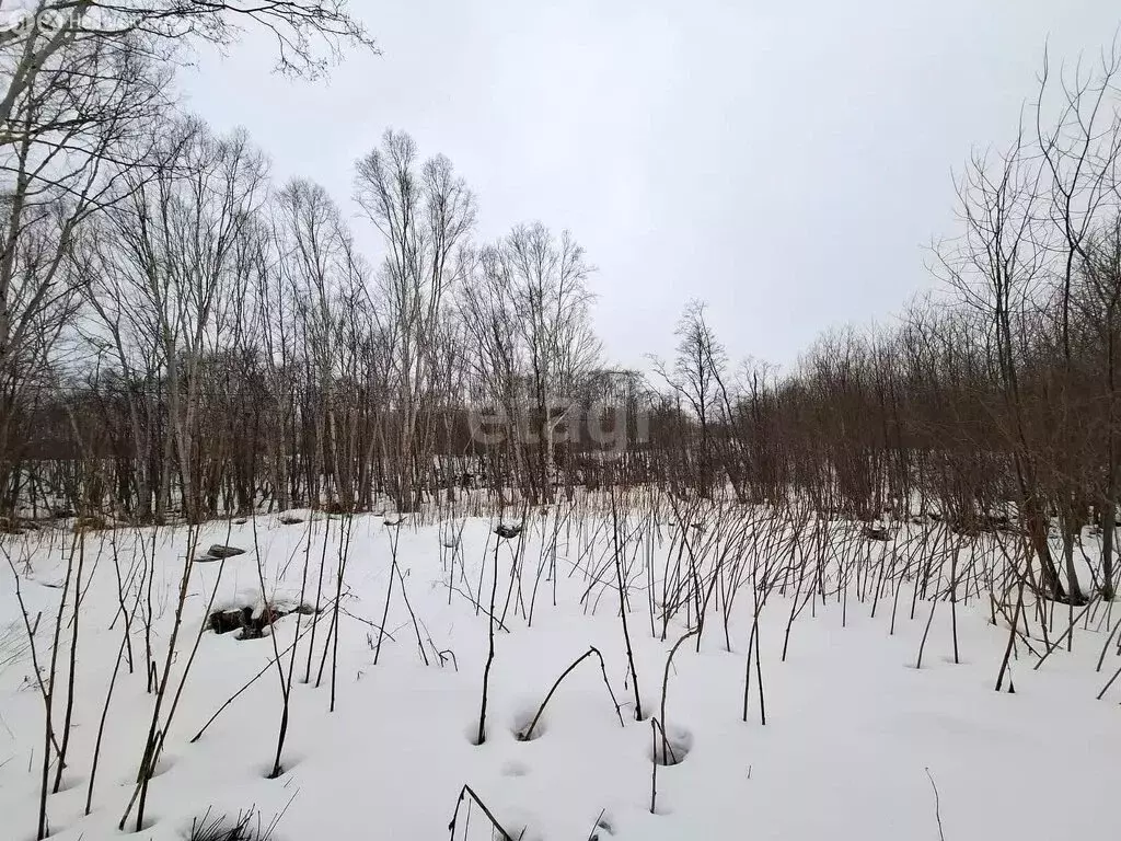Участок в посёлок Светлый, микрорайон Молодёжный (10.5 м) - Фото 1