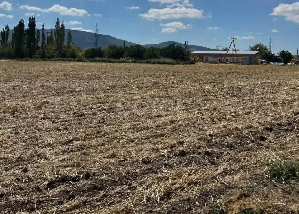 Участок в Крым, Кировский район, Первомайское с/пос, с. Жемчужина ... - Фото 1