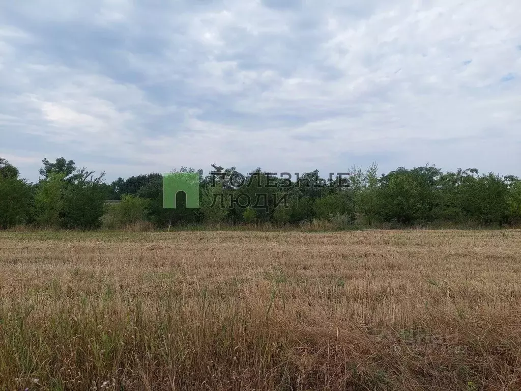 Участок в Белгородская область, Белгород Юго-Западный-2.2 мкр, ул. ... - Фото 2