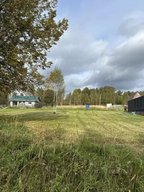 Участок в Ярославская область, Переславль-Залесский муниципальный ... - Фото 2