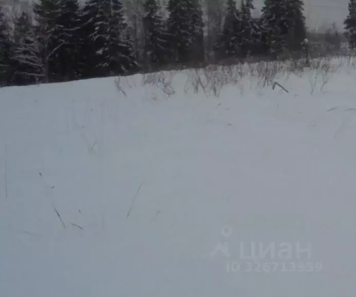 Участок в Московская область, Дмитровский муниципальный округ, с. ... - Фото 1