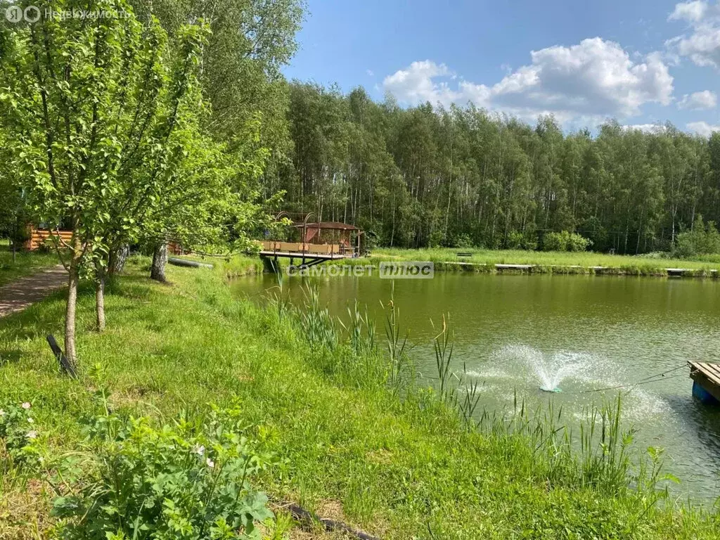 Участок в Богородский городской округ, КП Новое Борилово (11.6 м) - Фото 1