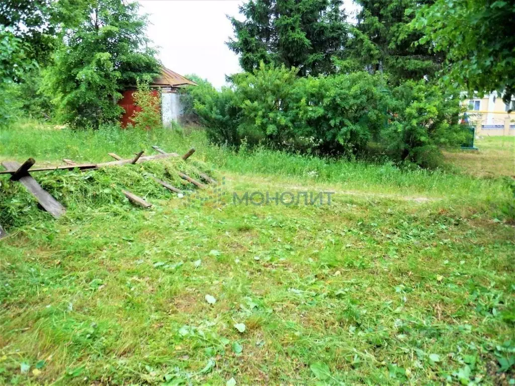 Участок в Нижегородская область, Павловский район, д. Кишкино Нагорная ... - Фото 1