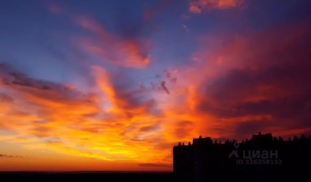 Студия Новосибирская область, Новосибирск ул. Твардовского, 22/5 (20.0 ... - Фото 1