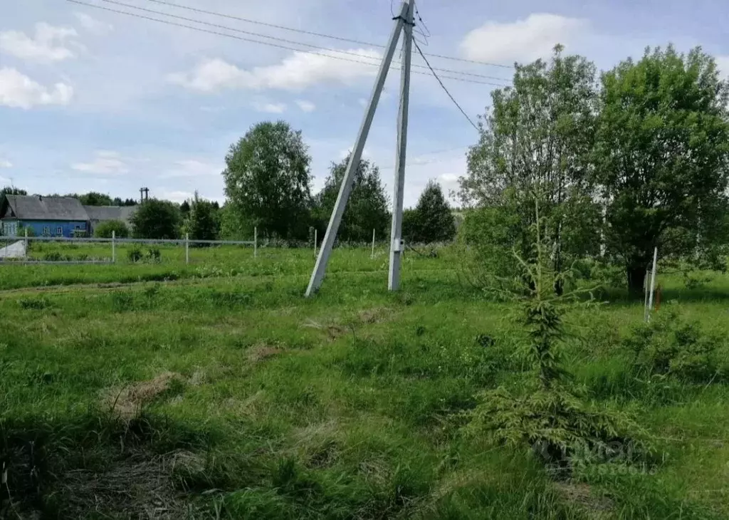 Участок в Пермский край, Пермский муниципальный округ, с. Сташково  ... - Фото 2