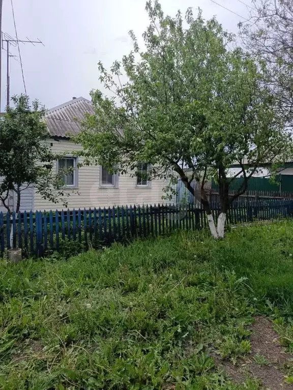 Дом в Белгородская область, Вейделевский район, с. Белый Колодезь ул. ... - Фото 1