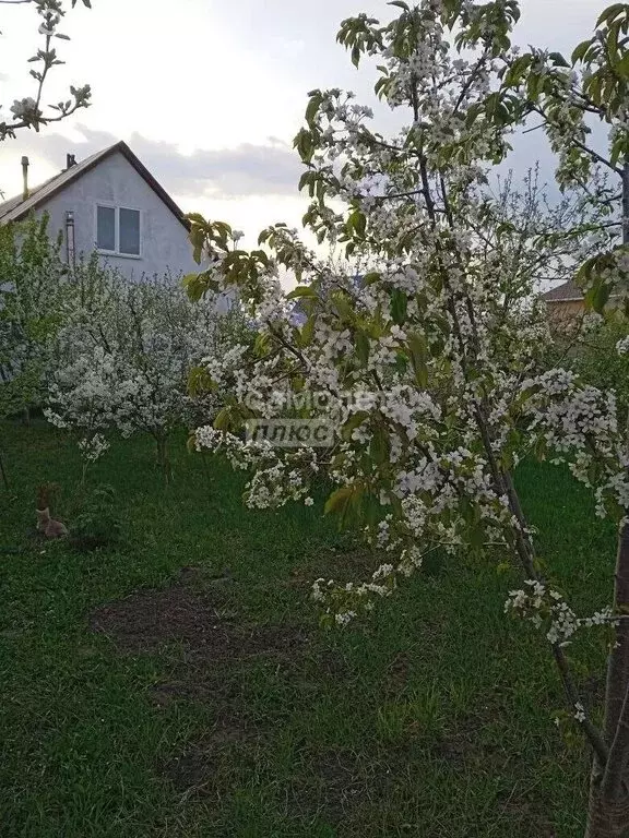 Дом в Липецк, микрорайон Ссёлки, улица Гагарина, 79 (94.6 м) - Фото 2