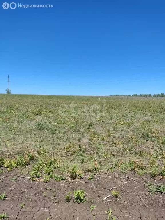 Участок в Мокшанский район, Рамзайский сельсовет, село Рамзай (17.2 м) - Фото 0