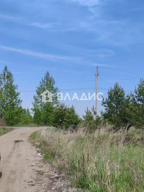 Участок в Иркутская область, Шелеховский район, Баклашинское ... - Фото 2