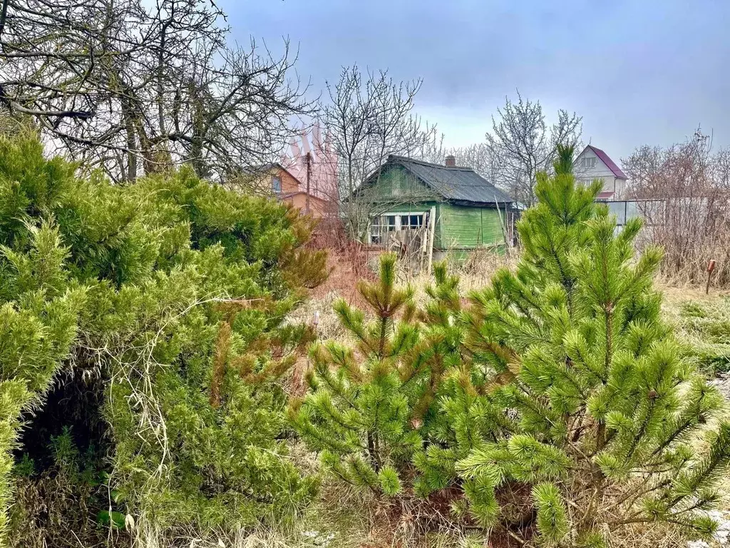 Участок в Орловская область, Орел  (11.6 сот.) - Фото 2