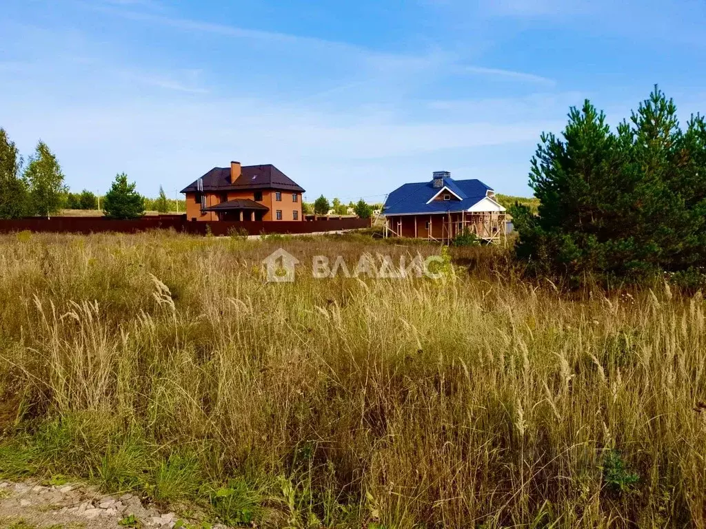 Участок в Нижегородская область, Нижний Новгород д. Майдан, ул. ... - Фото 2