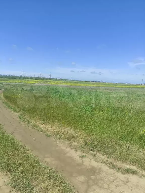 Участок 14 сот. (СНТ, ДНП) - Фото 0