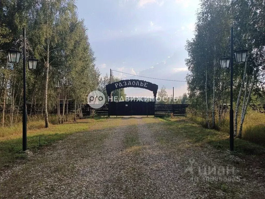 Участок в Рязанская область, Спасский район, Панинское с/пос, д. ... - Фото 1