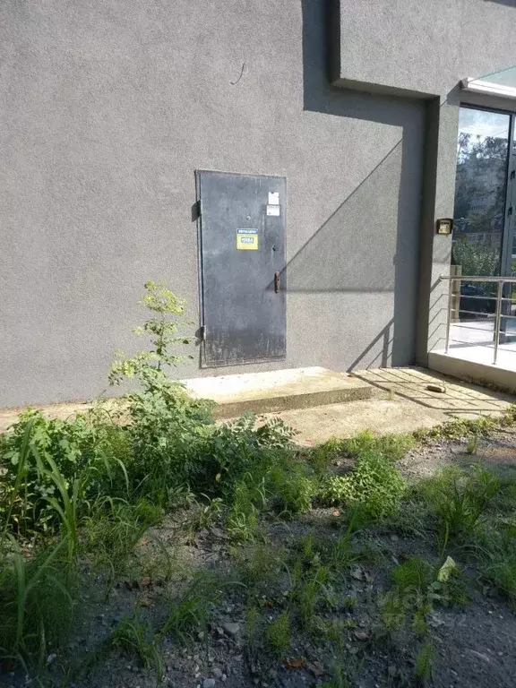 Помещение свободного назначения в Краснодарский край, Сочи Виноградная ... - Фото 2