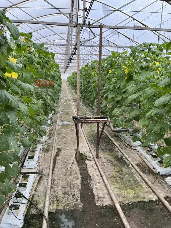 Производственное помещение в Рязанская область, Рыбновский район, ... - Фото 0