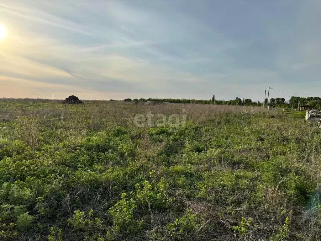 Участок в Воронежская область, Семилукский район, с. Девица ул. ... - Фото 1