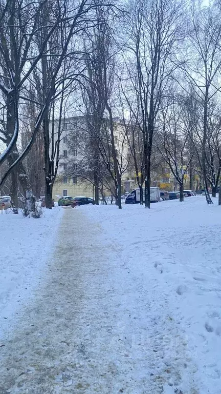 3-к кв. Липецкая область, Липецк Звездная ул., 4 (61.1 м) - Фото 2