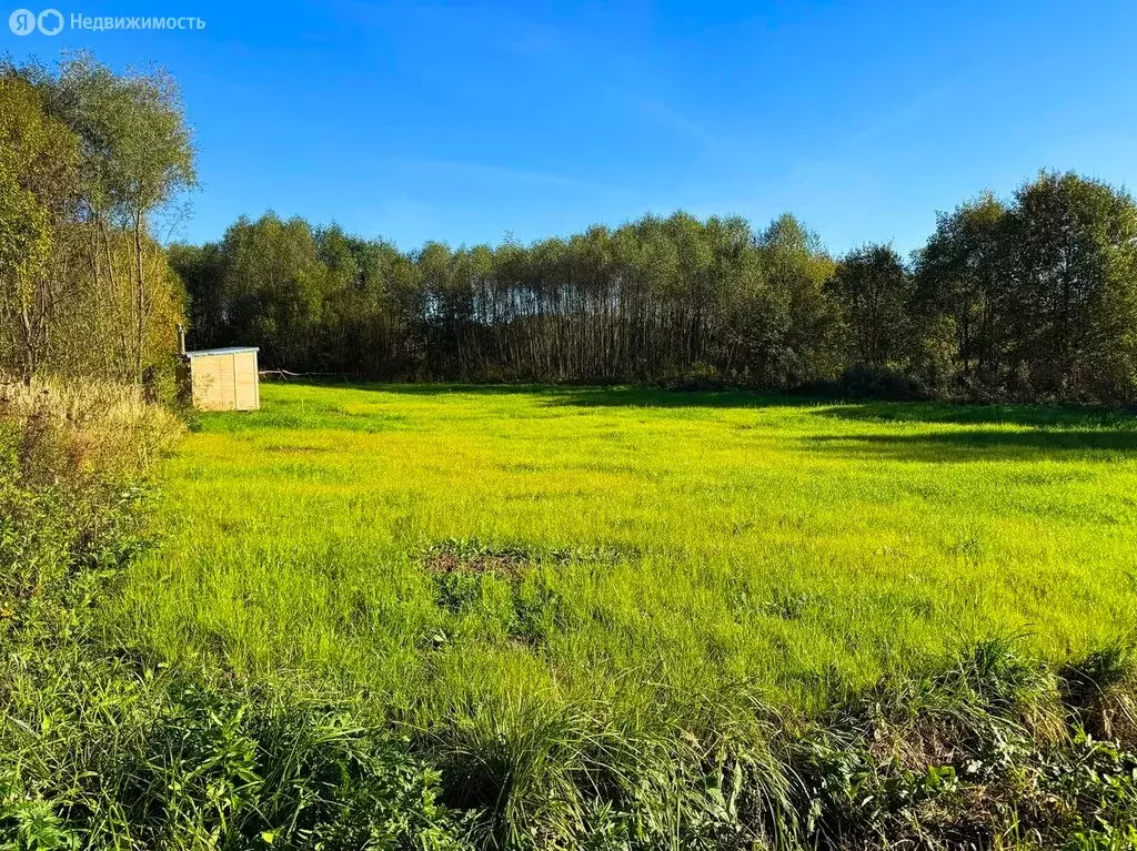 Участок в Московская область, Раменский муниципальный округ, КП ... - Фото 1