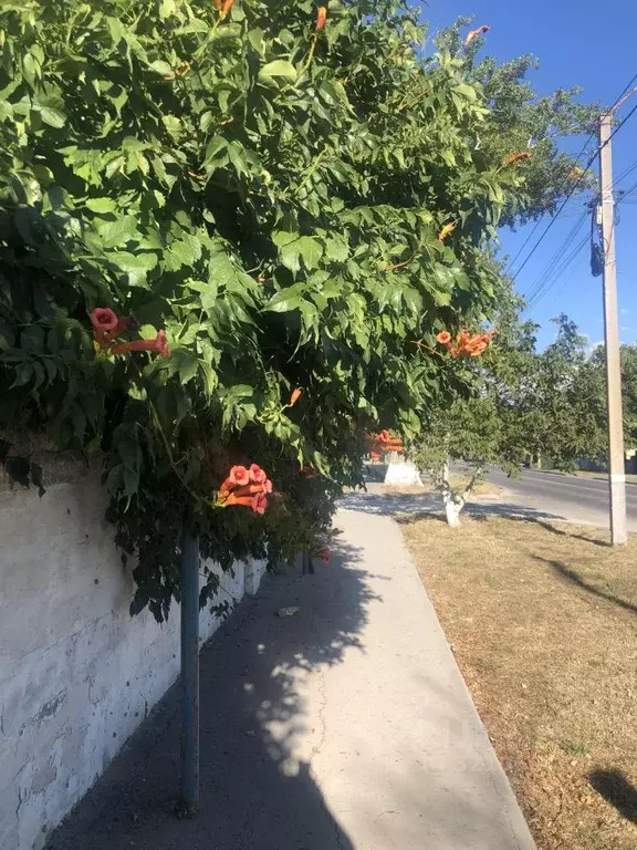 Дом в Крым, Ленинский район, Багерово пгт ул. Ленина (80 м) - Фото 1