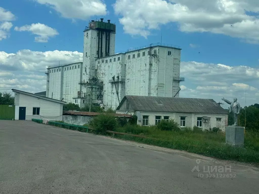 Склад в Воронежская область, Острогожский район, Гниловское с/пос, ... - Фото 1